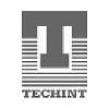 Techint Logo